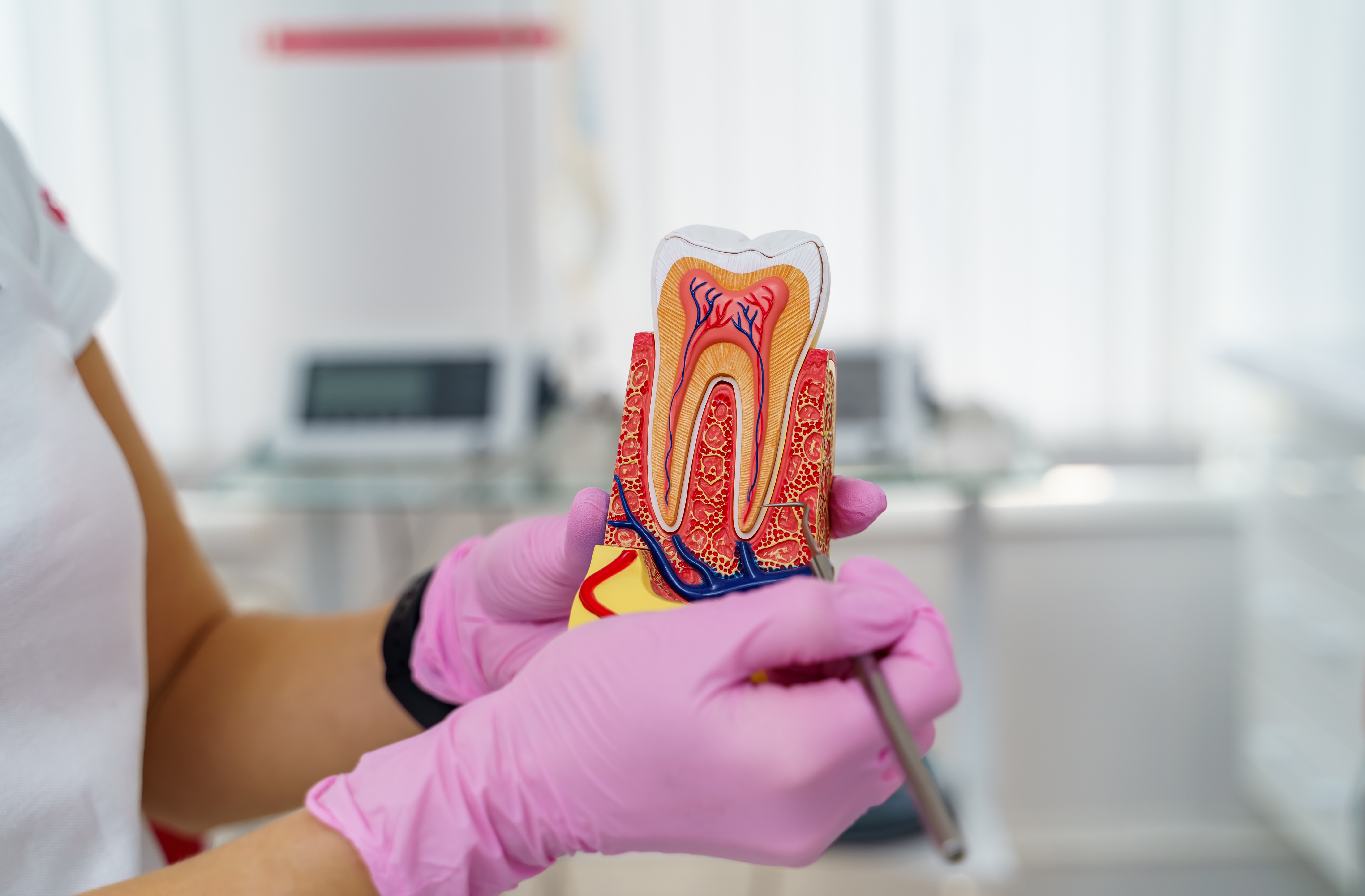 Pediatric Dental Procedure &# ; Pulpotomy And Baby Teeth